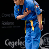 Vovinam_demonstration_Master_de_fleuret_2014_t223207.jpg