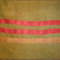 Flag flown on the Phoenix boat trip.jpg